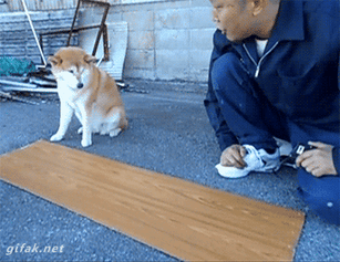 giphy-Mar-28-2024-01-27-27-4987-PM
