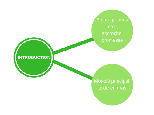 optimiser-introduction-article-blog optimiser-introduction-article-blog