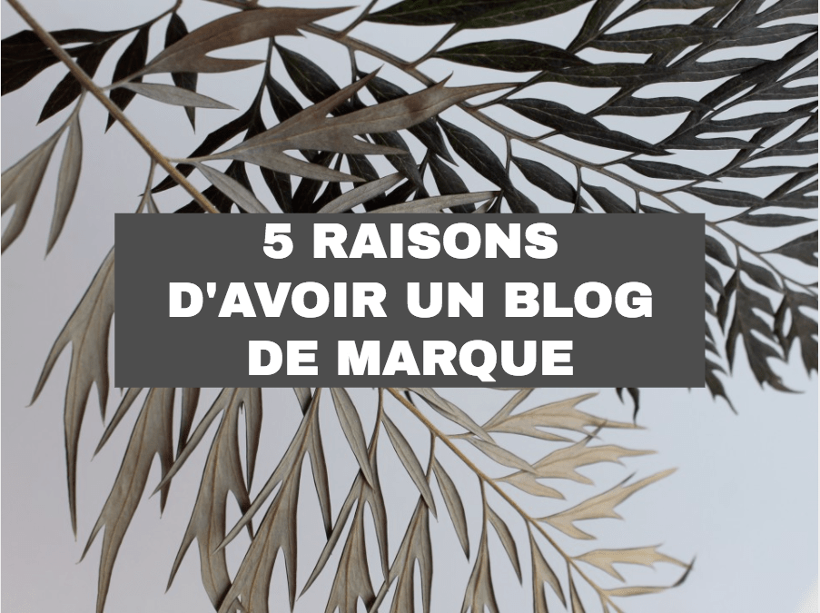 5 raisons d'avoir un blog de marque