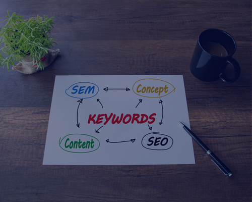 redaction seo